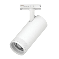 Трековый светильник для однофазного/трехфазного шинопровода Barra 20-55G с тонким адаптером Lightstar Canno Pro C4206SS