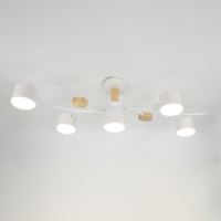 Люстра на штанге General GCHL-5GX53-M 662214