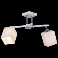 Потолочный светильник Reluce 03323-0.3-02N