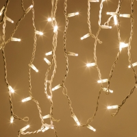 Гирлянда занавес Эра ERAPS-SP1 тёплый белый свет 600 LED