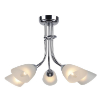 Потолочная люстра Escada 155 155/5P