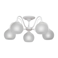 Потолочная люстра Vitaluce V3948-0/5PL