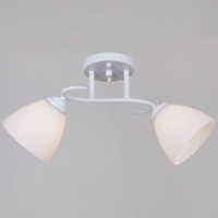 Потолочный светильник Reluce 44560-0.3-02 WH