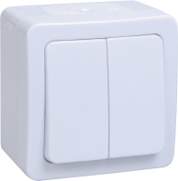 Гермес PLUS Выключатель двухклавишный ВС20-2-0-ГПБ наружный IP54 IEK EVMP20-K01-10-54-EC