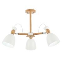 Потолочный светильник EVOLUCE BALCAMO SLE103802-03 Evoluce