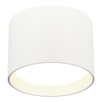 Потолочный светильник ST Luce  ST163.502.01.02