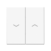 ARTGALLERY 2-клавишный выключатель для жалюзи, 2х сх.4, 10А, механизм, лотос Systeme Electric GAL001319