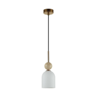 Подвесной светильник Odeon Light Midcent Lolla 6625/1B
