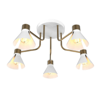 Потолочная люстра IMEX MD.8312-5-S-WH+AB