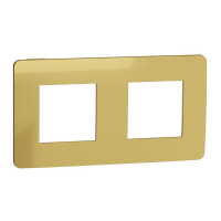 Рамка 2-постовая Schneider Electric Unica New NU280460