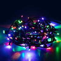 Гирлянда Эра ERAPS-PM10 Б0056016 ЭРА