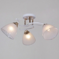 Потолочный светильник Reluce 64460-0.3-03 WH+FG