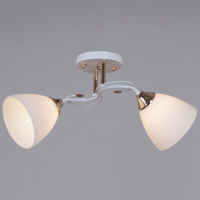 Потолочный светильник Reluce 06104-0.3-02 WH+FG