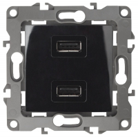 Розетка USB Эра 12-4110-06 Б0027496