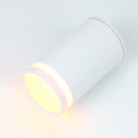 Накладной светильник General GWL-E27-M-IP65 661970