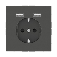 Розетка компьютерная USBx2 Schneider Electric Merten D-Life MTN2366-6034