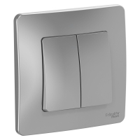 BLANCA скрытой установки двухклавишный выключатель (cх.5), 10A, 250B, алюминий Systeme Electric BLNVS010503