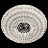 Потолочный светильник Reluce 02708-9.2-120W*2