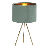 Настольная лампа ST Luce Fuego SL6242.704.01