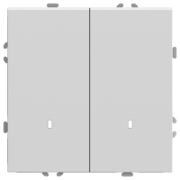 Выключатель двухклавишный c индикатором Stekker RSW10-5102-01 Эмили 49864