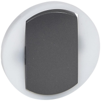 Лицевая панель Legrand Celiane выключателя одноклавишного с контурной подсветкой графит 065204