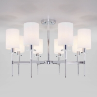 Люстра на штанге Eurosvet Brielle 60132/8 хром