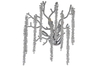 Настенный светильник Dio DArte Tavenna H 2.40.100 N