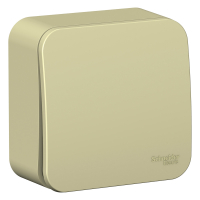 BLANCA О/У 1-клавишный ВЫКЛЮЧАТЕЛЬ (cх.1) ИЗОЛ.ПЛ., 10А, 250B, БЕЖЕВЫЙ Systeme Electric BLNVA101017