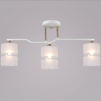 Потолочная люстра Reluce 02283-0.3-03 WT+FGD