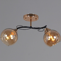 Потолочный светильник Reluce 06073-0.3-02 FG+BK