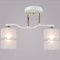 Потолочный светильник Reluce 02283-0.3-02 WT+FGD