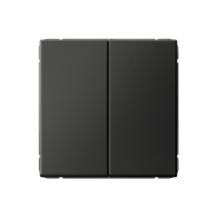 ARTGALLERY 2-клавишный выключатель, сх.5, 10АХ, механизм, базальт Systeme Electric GAL001451