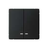 ARTGALLERY 2-клавишный выключатель с подсветкой, сх.5а, 10АХ, механизм, карбон Systeme Electric GAL001053