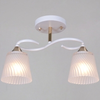 Потолочный светильник Reluce 06360-0.3-02 WH+FG