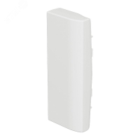Заглушка 130х50мм Legrand/Daccord 638045