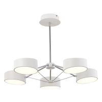 Потолочный светильник Evoluce Valle SLE6005-502-05