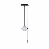Подвесной светильник Loft IT Signal 10029PS Black