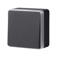 Выключатель одноклавишный Werkel Gallant (черный с серебром) W5010034 4690389163777 a051158