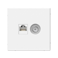 ARTGALLERY розетка двойная ТВ + компьютерная RJ45, кат. 5Е, лотос Systeme Electric GAL001389