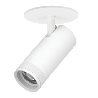 Встраиваемый светильник 20-55G с адаптером Lightstar Canno Pro C4206RS