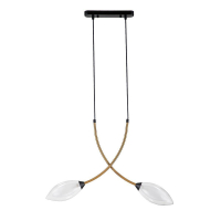 Подвесной светильник Indigo Fiore 13001/2P Black V000140