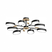 Люстра на штанге LED4U L3221-850 BK