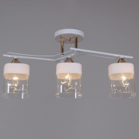 Потолочная люстра Reluce 06096-0.3-03 WH+FG