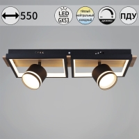 Потолочный светильник Reluce 19560-0.3-2+2 BK+WOOD
