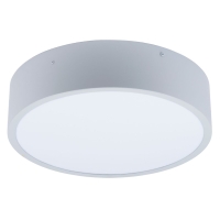 Накладной светильник Uniel UL-00012600 ULO-K40A 30W/4000К/R40 IP40 LIGHT GREY