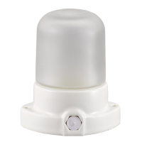 Настенно-потолочный светильник General GCF-SNC-60-E27-IP65-W 437767