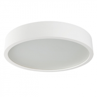 Настенно-потолочный светильник Kanlux Jasmin 470-W/M 23128