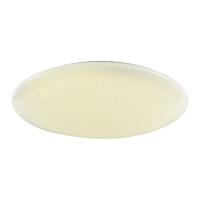 Потолочный светодиодный светильник F-Promo Luna 2319-10C