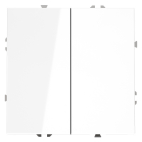 Выключатель с самовозвратом двухклавишный Voltum S70 VLS020601