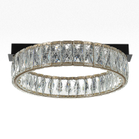 Потолочная люстра Citilux Palant CL325142